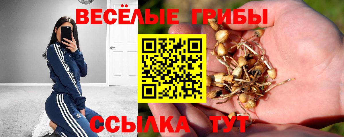 Донецк  Псилоцибиновые грибы ЛСД  Вход с VPN  Галлюциногенные грибы прущие грибы 